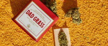High Times: Evolving Packaging Trends in Cannabis Products