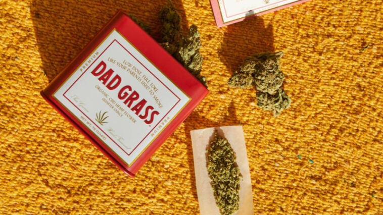 High Times: Evolving Packaging Trends in Cannabis Products