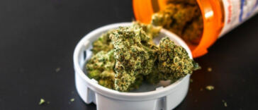 Finding Relief: Cannabis for Chronic Pain Management