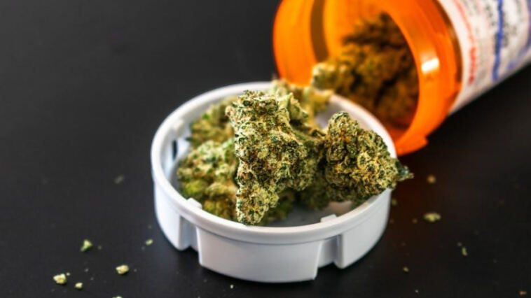 Finding Relief: Cannabis for Chronic Pain Management