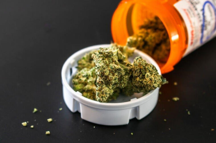 Finding Relief: Cannabis for Chronic Pain Management