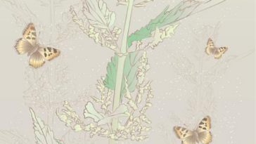 Green Inspiration: Exploring the Link Between Weed and Creativity