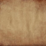 CannaNovice: Navigating Edibles for Beginners