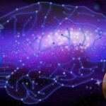 Virtual Green: Exploring Metaverse Cannabis Dispensaries