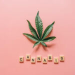 Higher Learning: Universities Embrace Marijuana Education