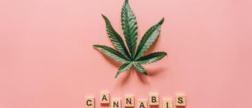 Higher Learning: Universities Embrace Marijuana Education