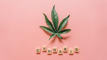 Higher Learning: Universities Embrace Marijuana Education