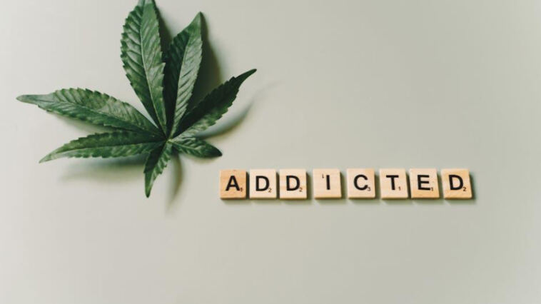 Growing Horizons: Global Cannabis Advocacy Trends