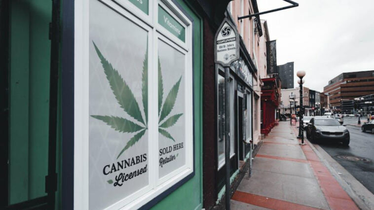 The Hazy World of Cannabis Advertising Laws
