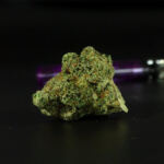 Masterpieces in a Joint: Top Strains for Creative Genius