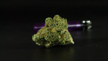 Masterpieces in a Joint: Top Strains for Creative Genius