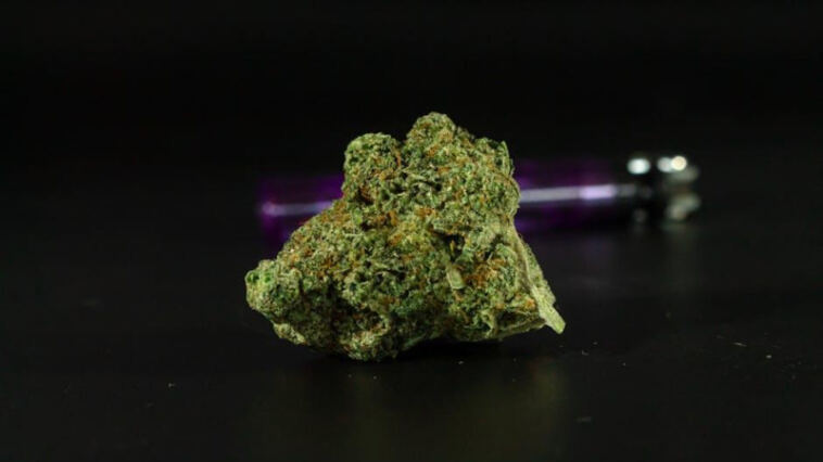 Masterpieces in a Joint: Top Strains for Creative Genius