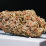 Unlocking Creativity: The Artistic Advantages of Cannabis