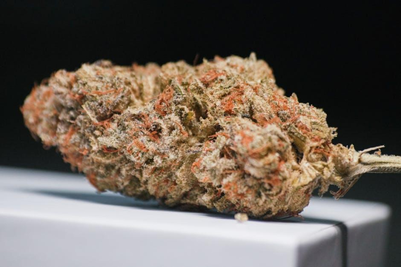 Unlocking Creativity: The Artistic Advantages of Cannabis