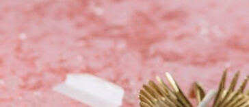 Elevated Eats: Exploring Marijuana-Infused Dining Experiences