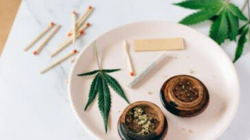 Cannabis Getaways: How to Plan Your Perfect Weed-Fueled Trip