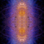 Rising Psychedelic Pot Patterns