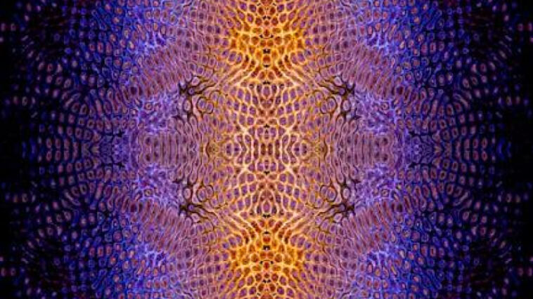 Rising Psychedelic Pot Patterns