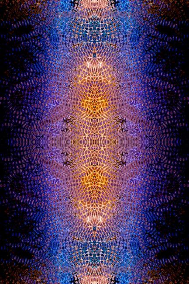 Rising Psychedelic Pot Patterns