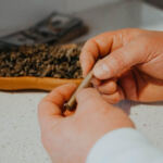 Rolling Up: Mastering the Art of the Perfect Joint