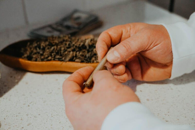 Rolling Up: Mastering the Art of the Perfect Joint