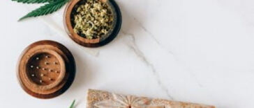 Unveiling latest breakthroughs in cannabis clinical trials