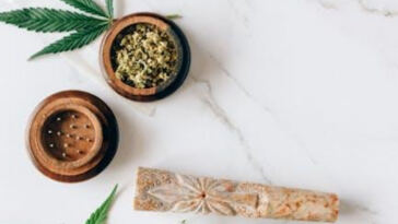 Unveiling latest breakthroughs in cannabis clinical trials