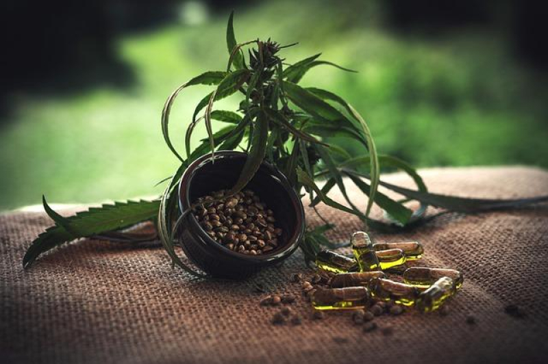 Breaking the Chains: CBD’s Role in Opioid Dependency Reduction