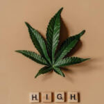 The Healing Power of THC and CBD for Muscle Recovery