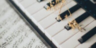 Harmonizing Highs: Enhancing Music with Cannabis