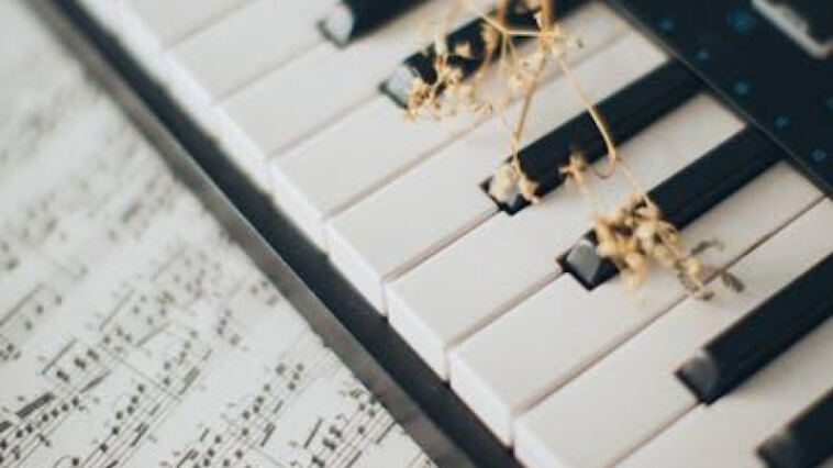 Harmonizing Highs: Enhancing Music with Cannabis