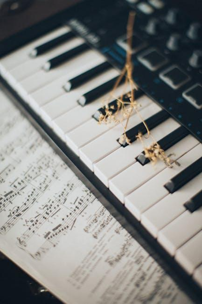 Harmonizing Highs: Enhancing Music with Cannabis