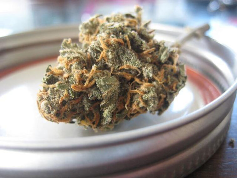 Green Light: The Latest on Cannabis Legalization
