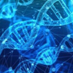 Unraveling the Mysteries of Cannabis Genetics