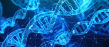 Unraveling the Mysteries of Cannabis Genetics