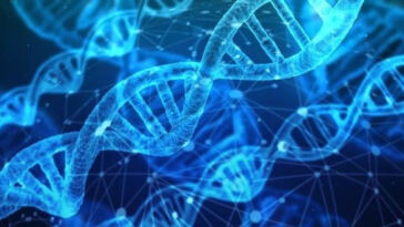 Unraveling the Mysteries of Cannabis Genetics