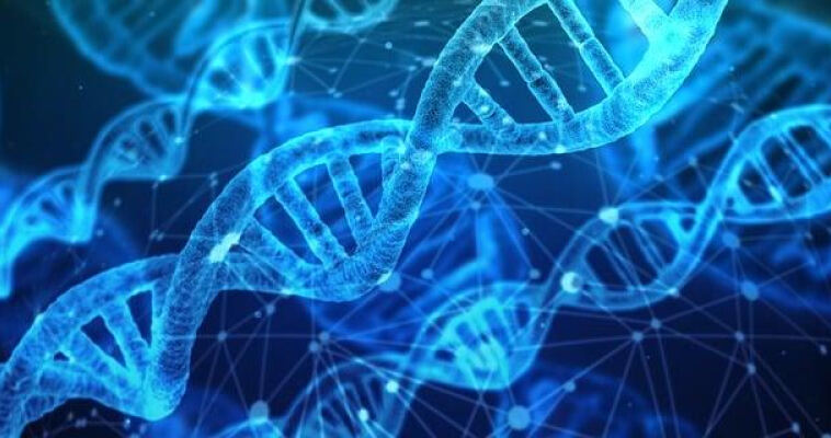 Unraveling the Mysteries of Cannabis Genetics
