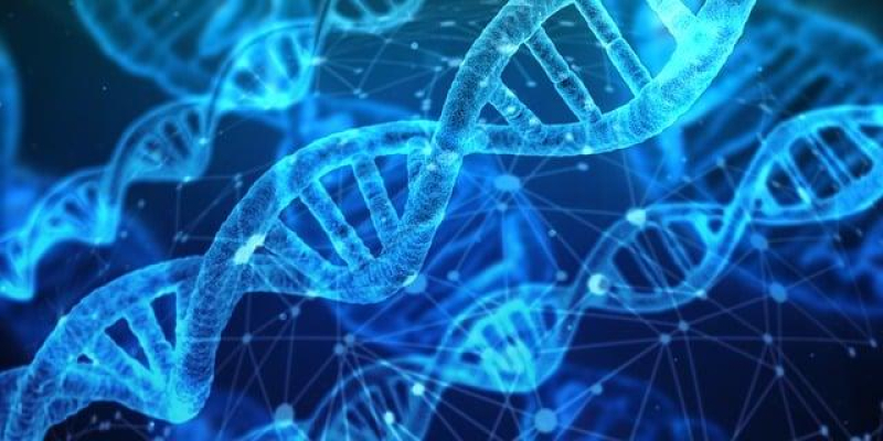 Unraveling the Mysteries of Cannabis Genetics