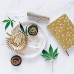 Joint Adventures: Cannabis-Inclusive Travel Tips