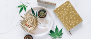 Joint Adventures: Cannabis-Inclusive Travel Tips