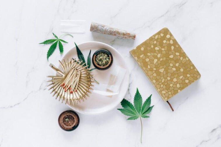 Joint Adventures: Cannabis-Inclusive Travel Tips
