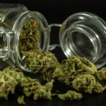 Unlocking the Potential: Decarboxylating Cannabis for Infused Treats