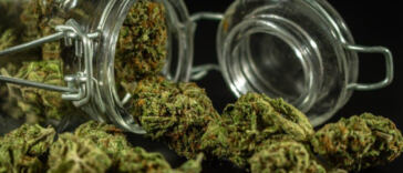 Unlocking the Potential: Decarboxylating Cannabis for Infused Treats