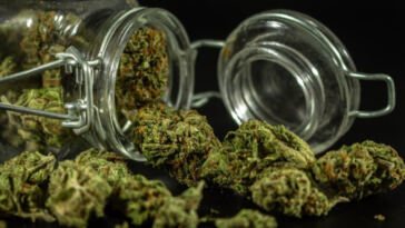 Unlocking the Potential: Decarboxylating Cannabis for Infused Treats