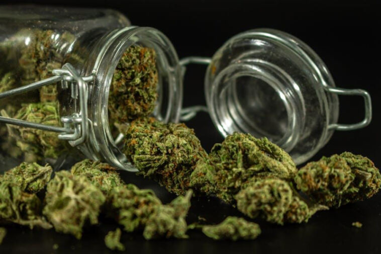 Unlocking the Potential: Decarboxylating Cannabis for Infused Treats