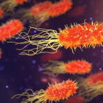 Unlocking the Secrets of Cannabis Genetics