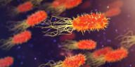Unlocking the Secrets of Cannabis Genetics