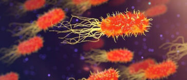 Unlocking the Secrets of Cannabis Genetics