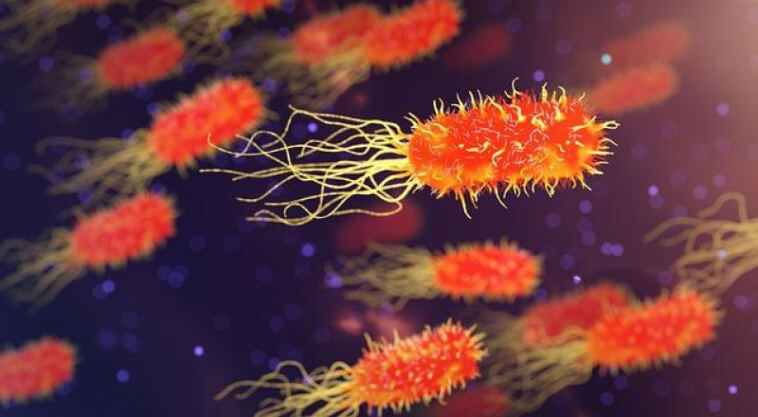 Unlocking the Secrets of Cannabis Genetics