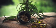 Unlocking the Power of CBD for Anxiety and Depression